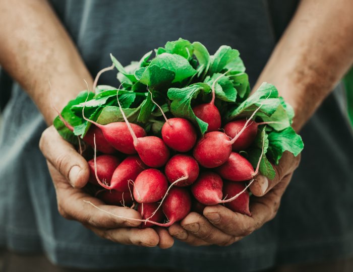 organic department